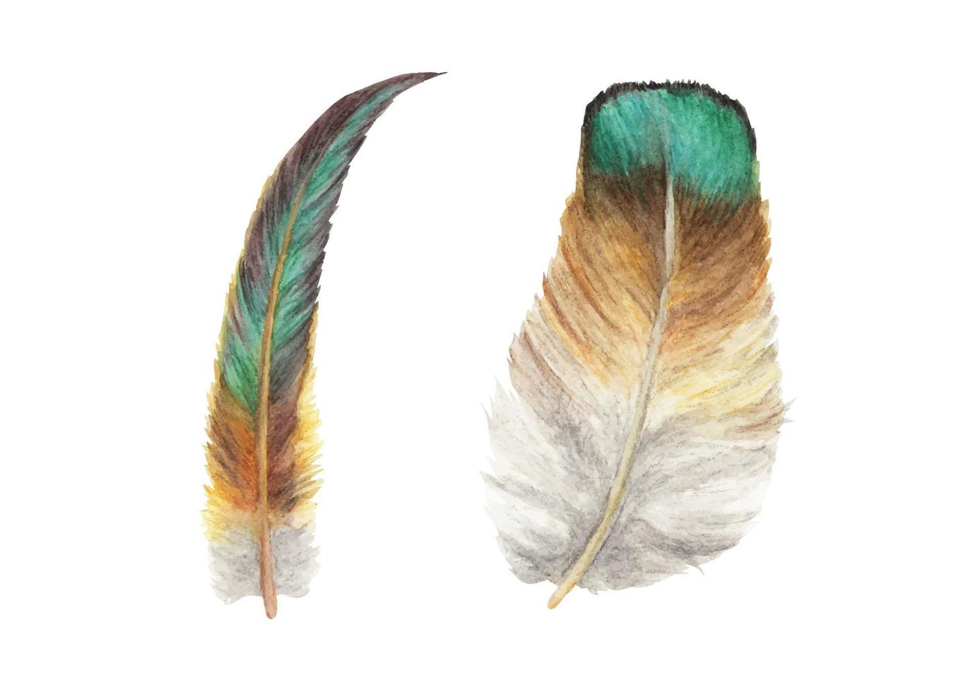 Bird feather. Boho style wings. Watercolor illustration. vector