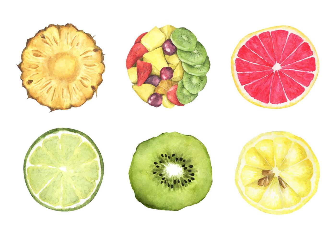 colección de frutas frescas. vista superior. Ilustración acuarela. vector