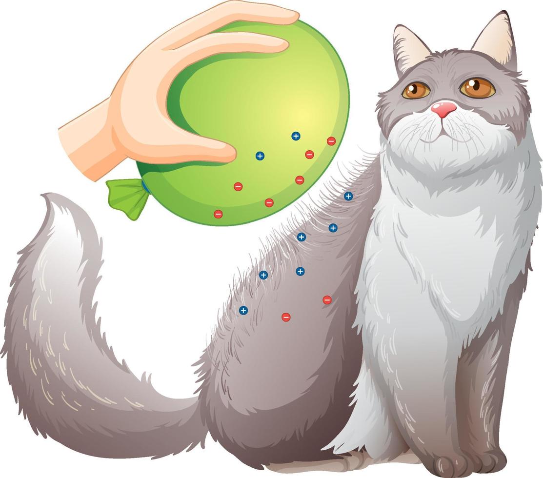 Fluffy persian cat sitting on white background vector