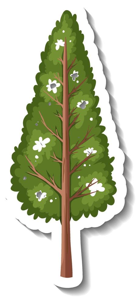 Pegatina árbol de hoja perenne sobre fondo blanco. vector