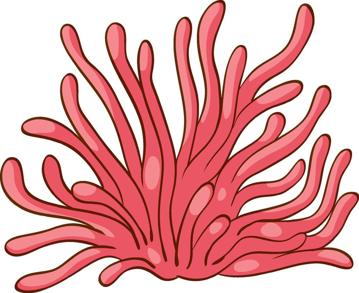 Pink sea coral icon on white background vector