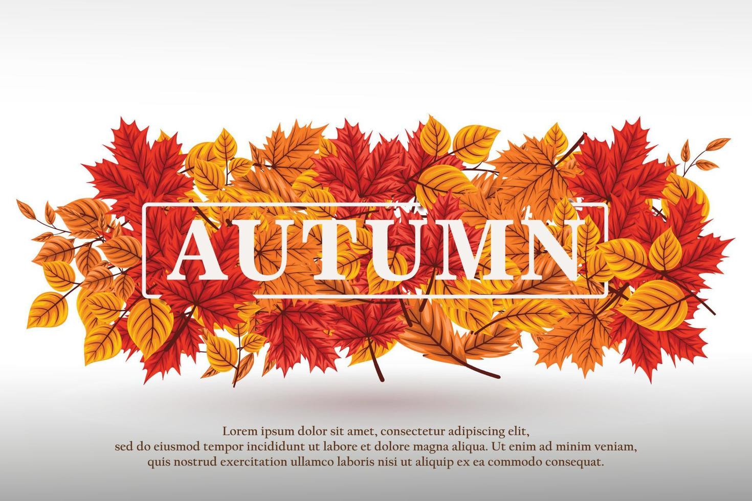 beautiful autumn leaves collection background vector