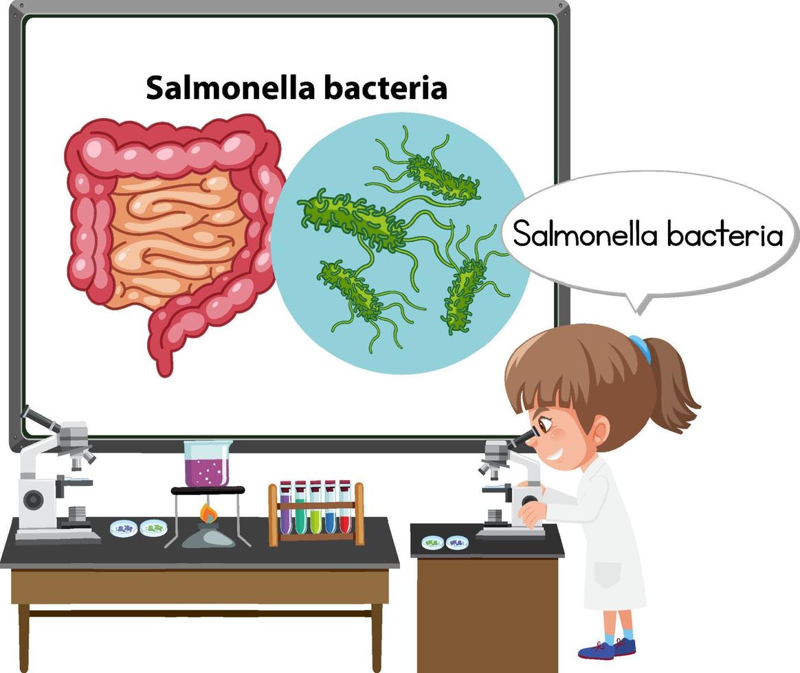 Young doctor explaining salmonella bacteria vector