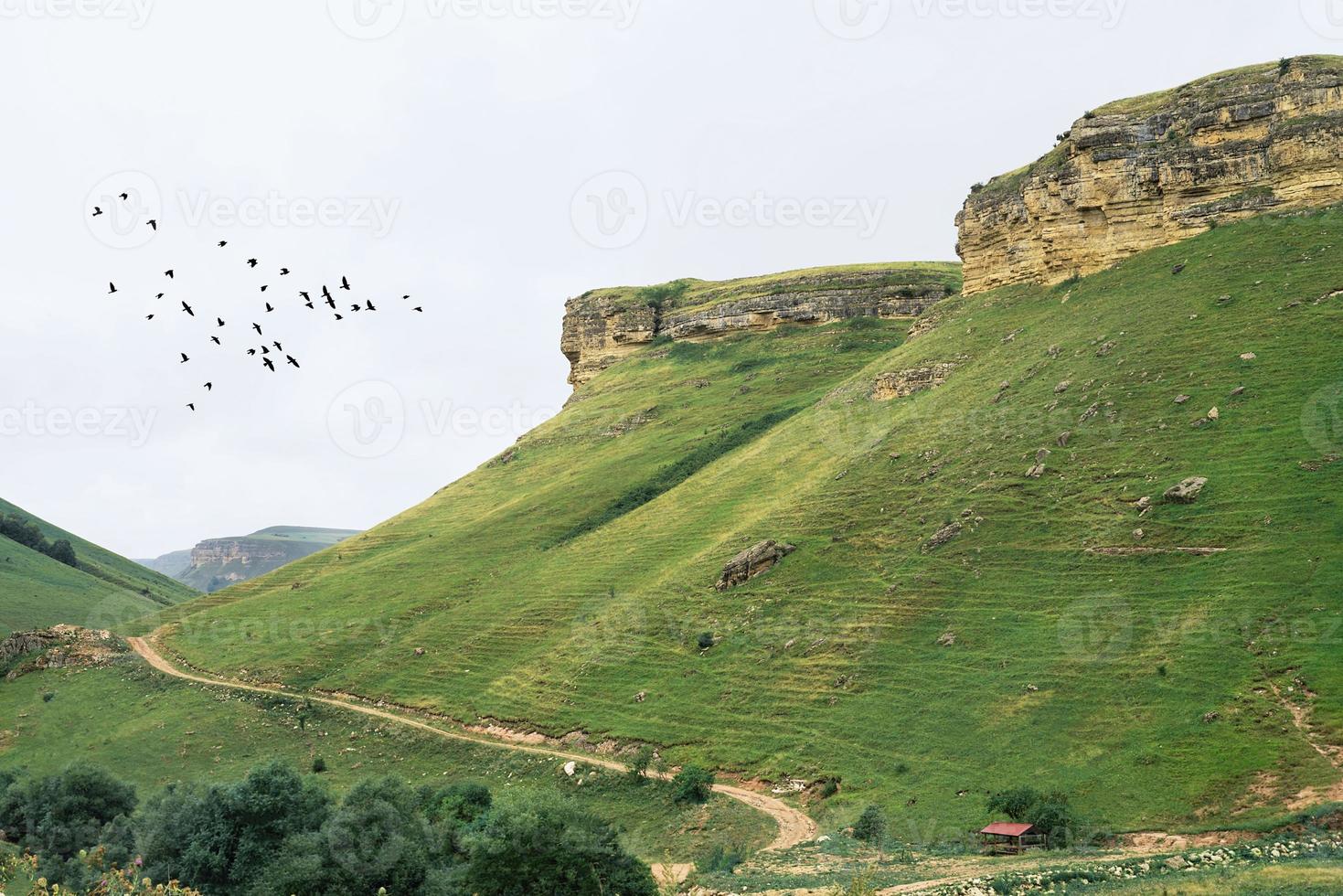 Beautiful green hills and mountains photo