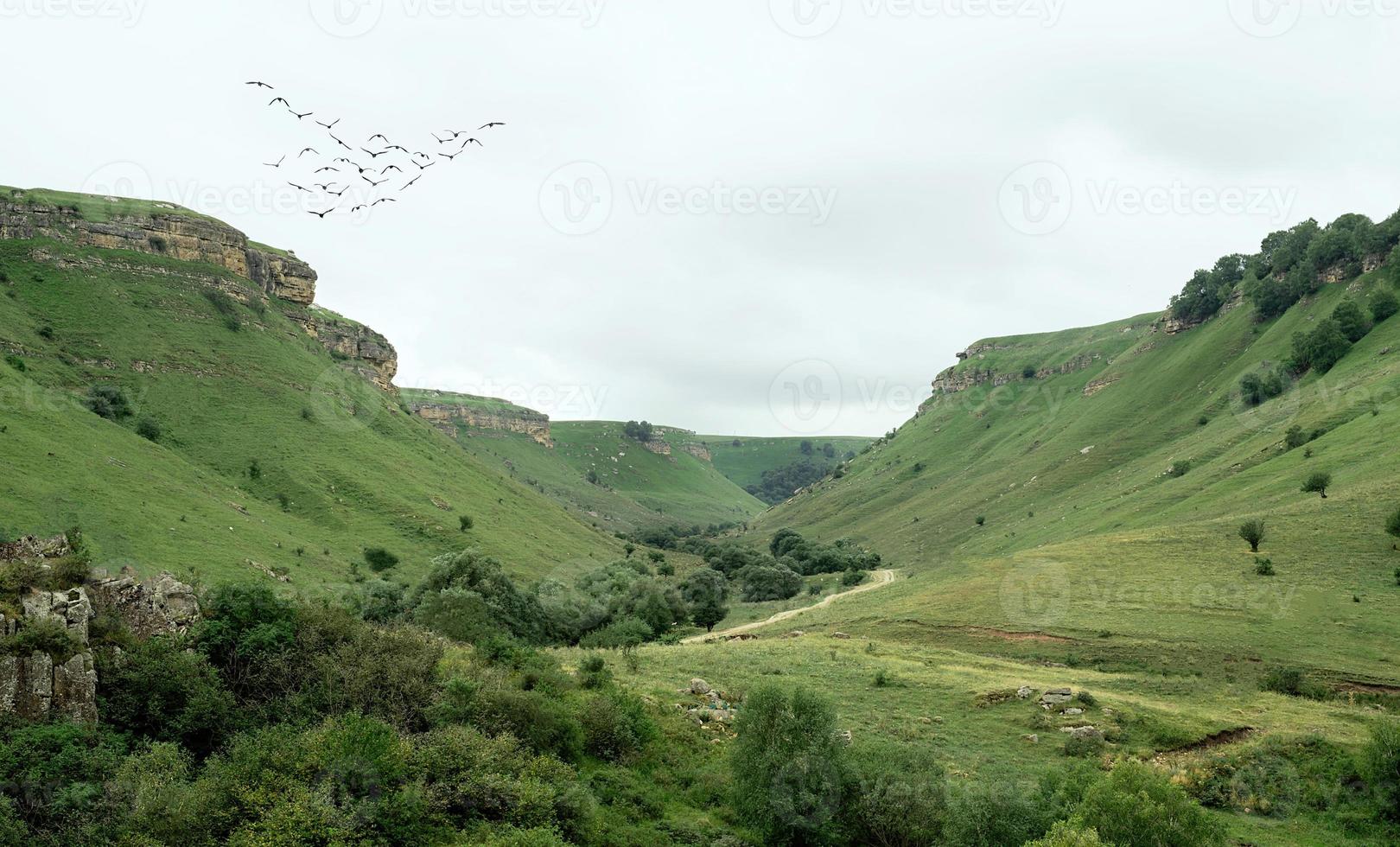 hermosas colinas verdes y montañas foto