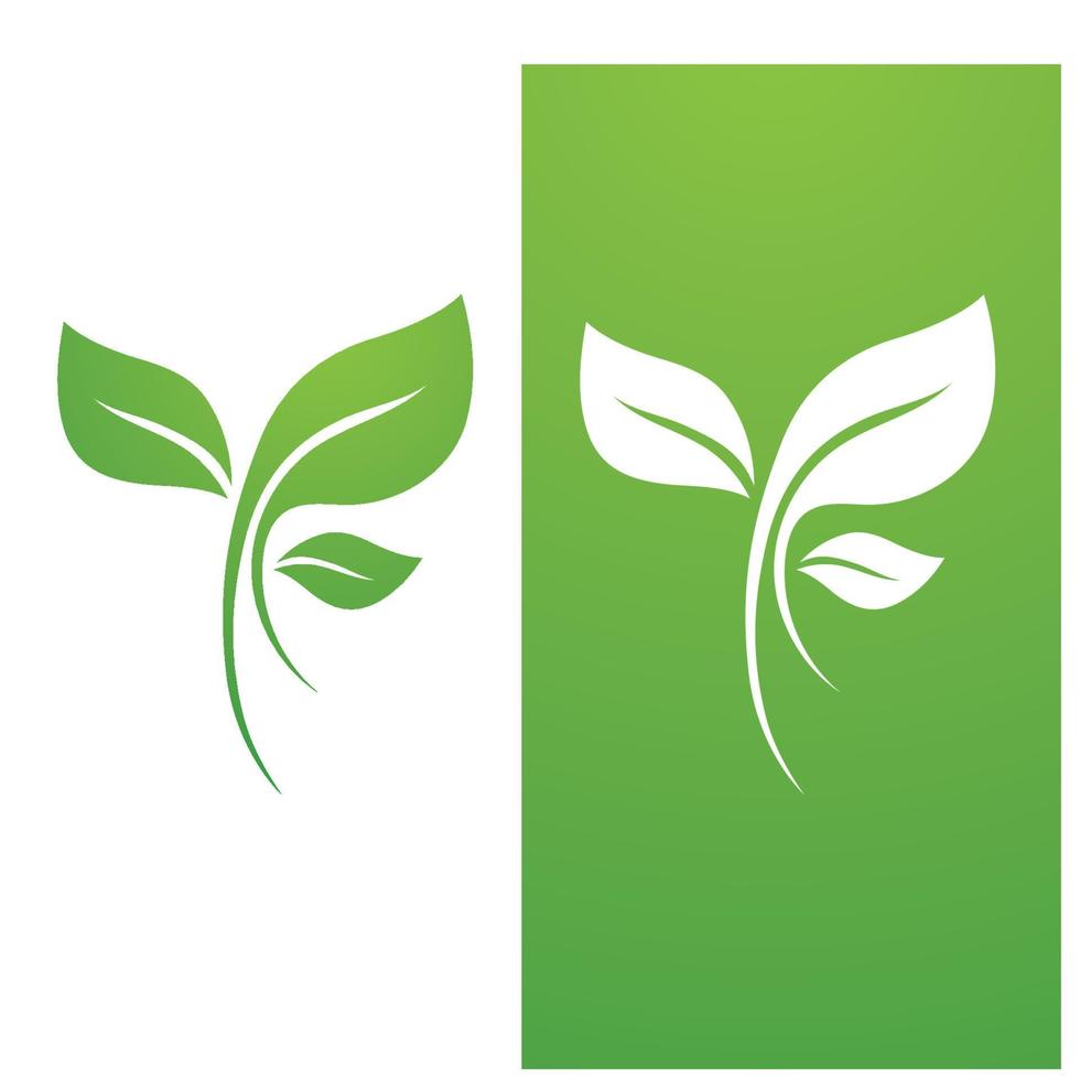 Leaf green logo and symbol template vector free