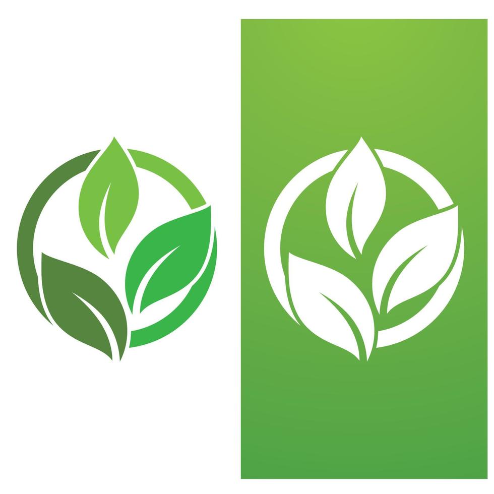 vector de plantilla de logotipo y símbolo de hoja verde gratis