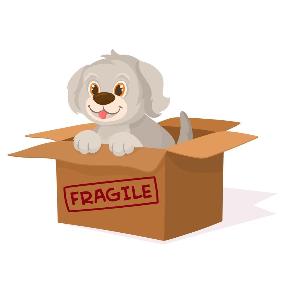 Little puppy inside a cardboard box vector