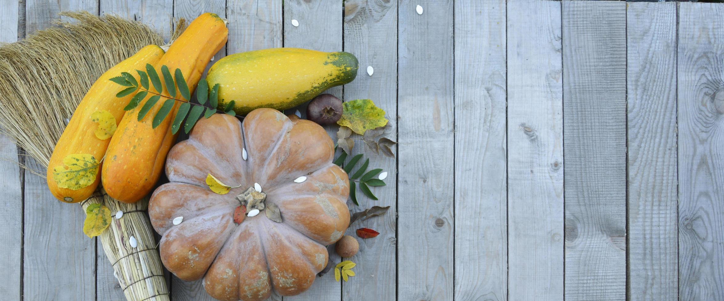 Pumpkin and zucchini on a wooden background with an empty field photo