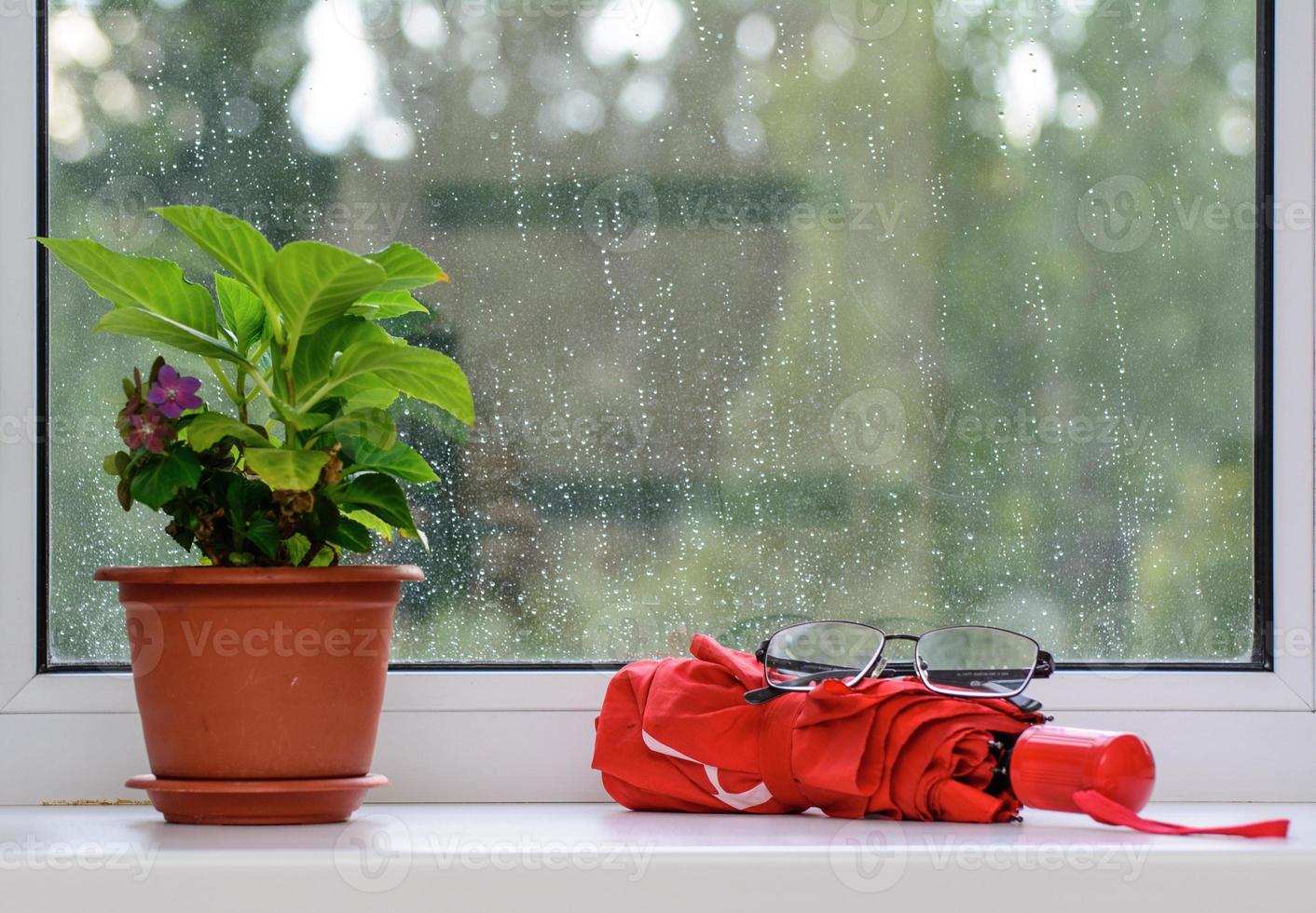 There is a flower pot on the windowsill. An open book lies nearby. There are glasses on the book. Raindrops in the window. The concept is home rest. photo