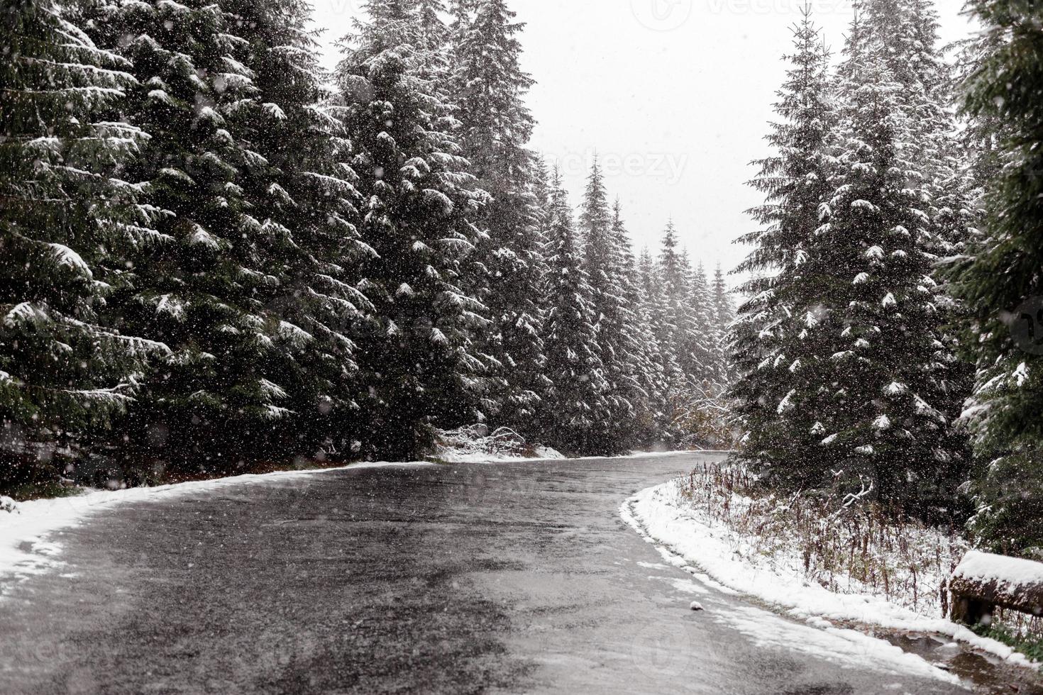 Vista panorámica de la carretera con fondo de nieve y montaña y árboles gigantes en temporada de invierno. morske oko foto