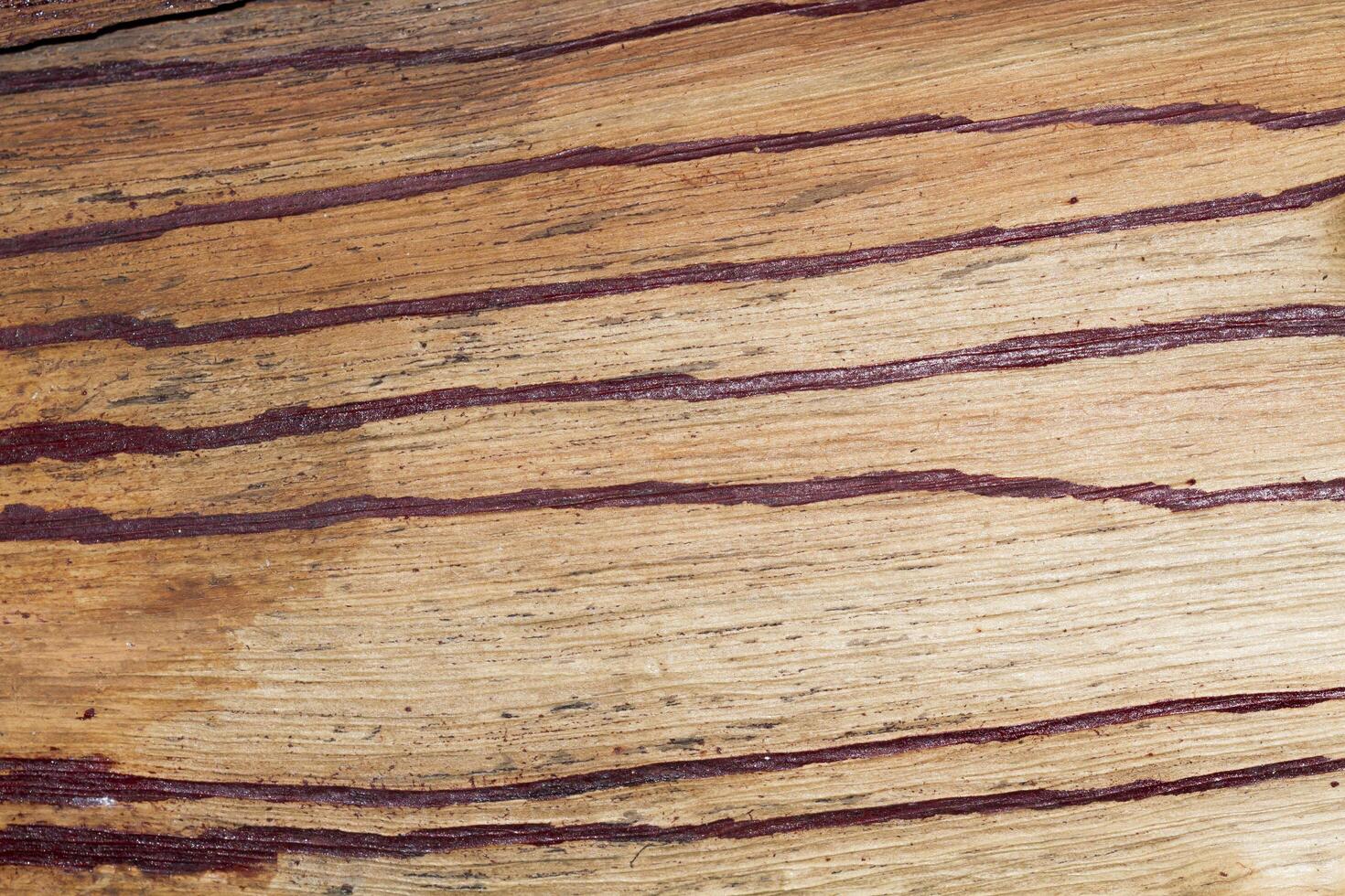 Wooden texture background photo