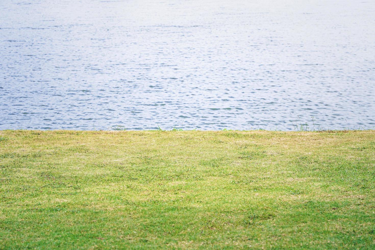 Bright green grass near the lake photo