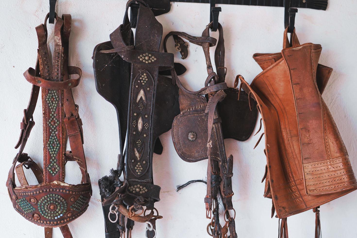 Leather horse bridles and bits hanging on wall photo