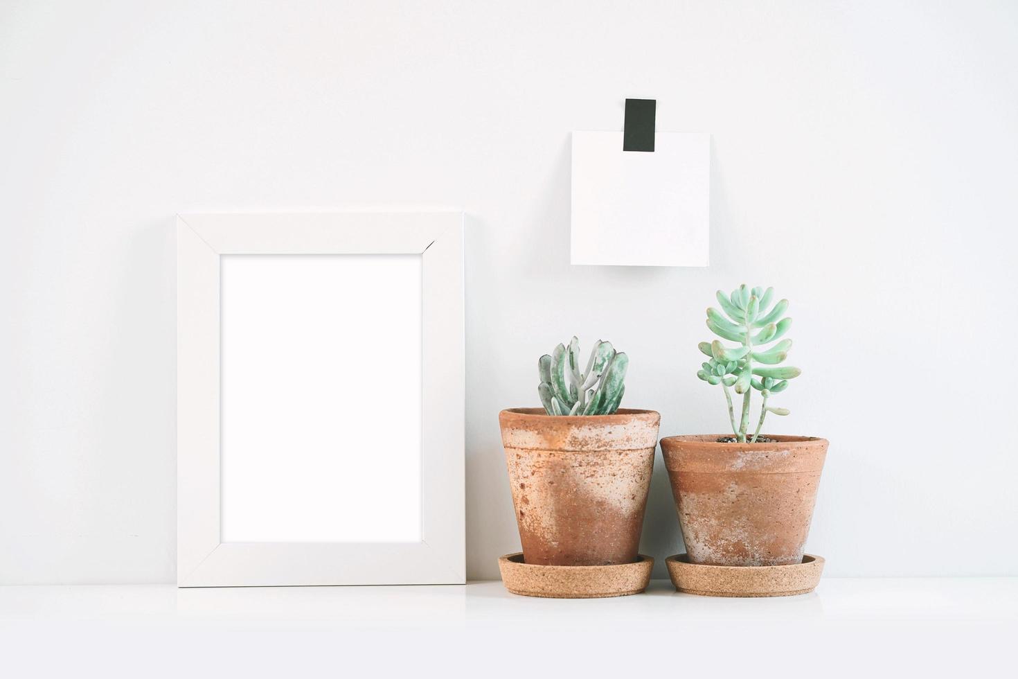 Succulents or cactus in clay pots over white background on the shelf and mock up frame photo