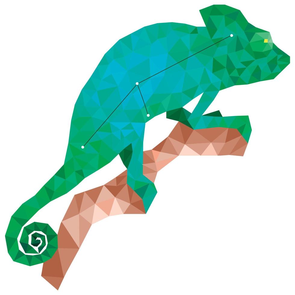 The chameleon constellation vector