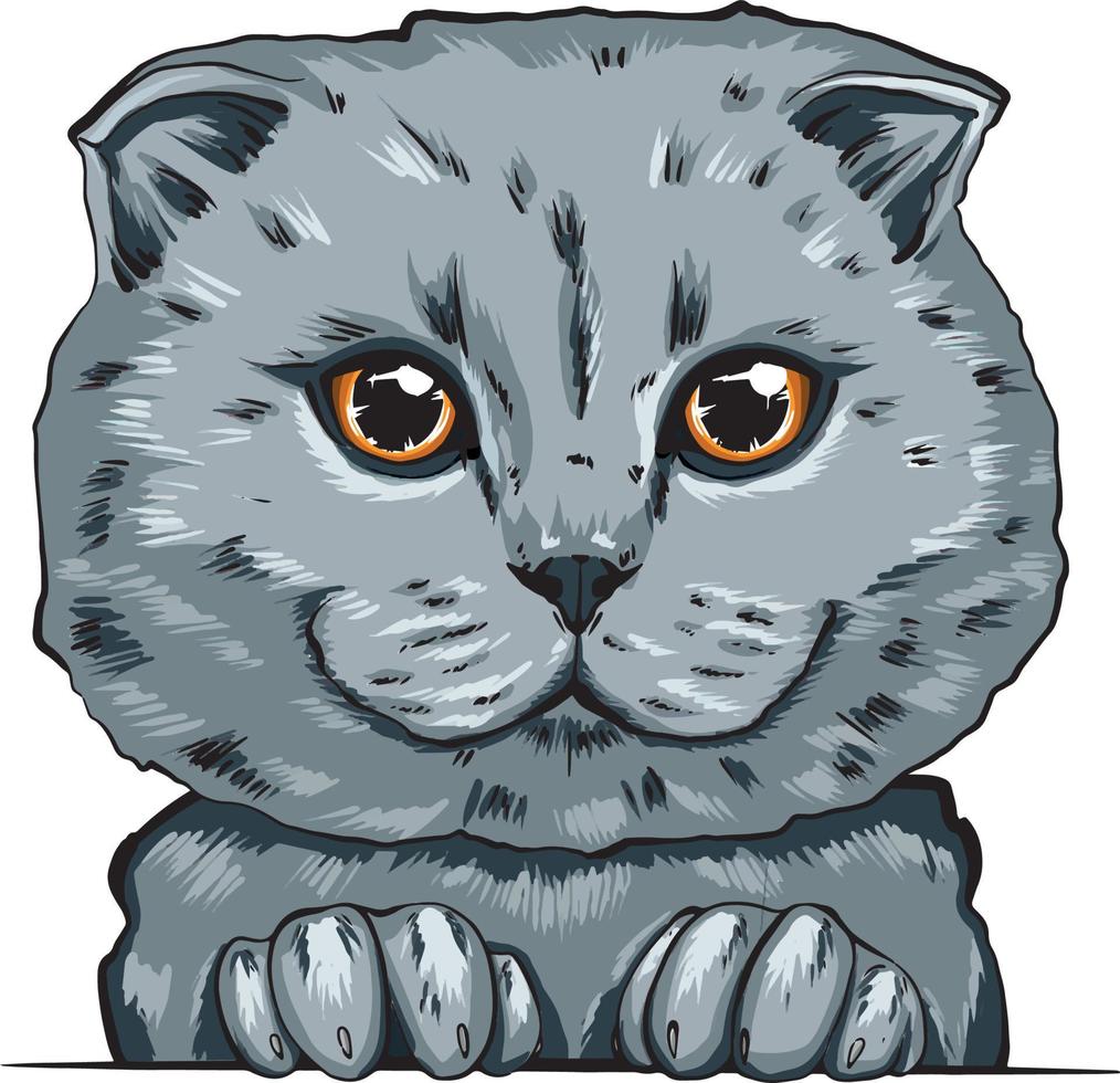 Britain cat. Hand-drawn feline fluffy portrait of a cat. vector