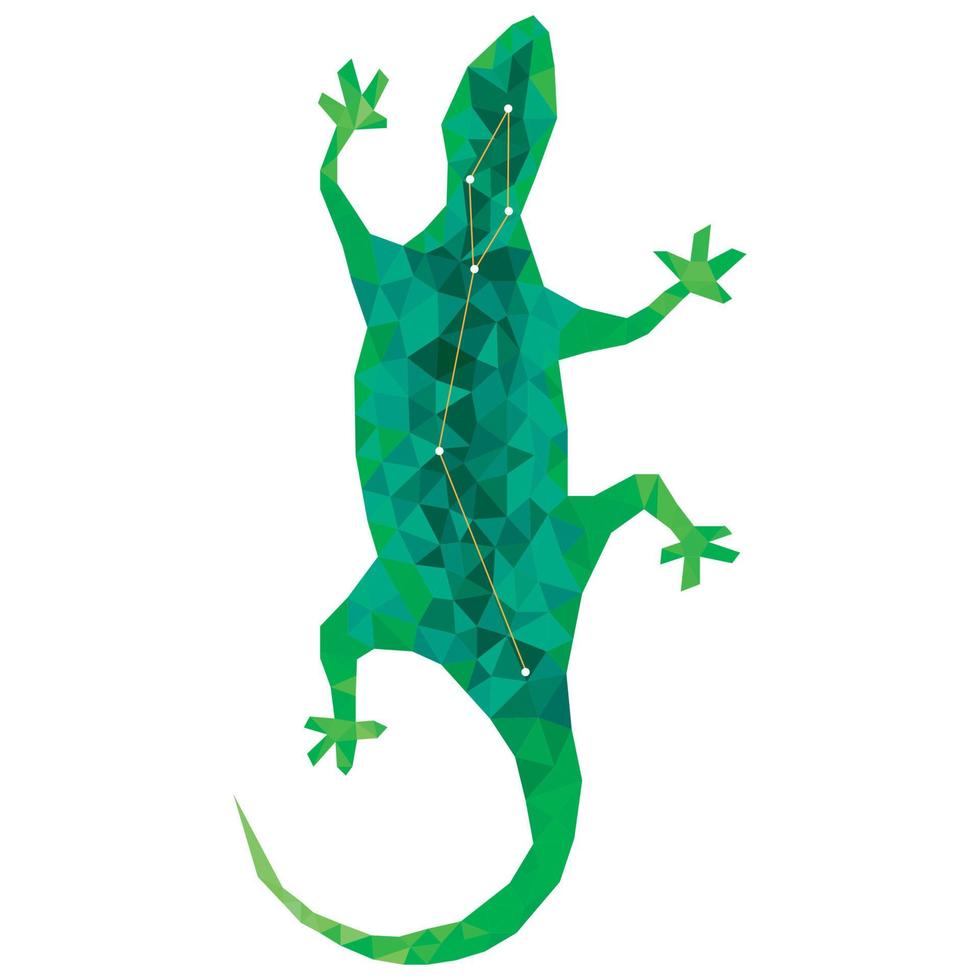 lacerta la constelación de lagarto lagarto verde en estilo poligonal. cielo estrellado lagarto colorido icono geométrico moderno, vector