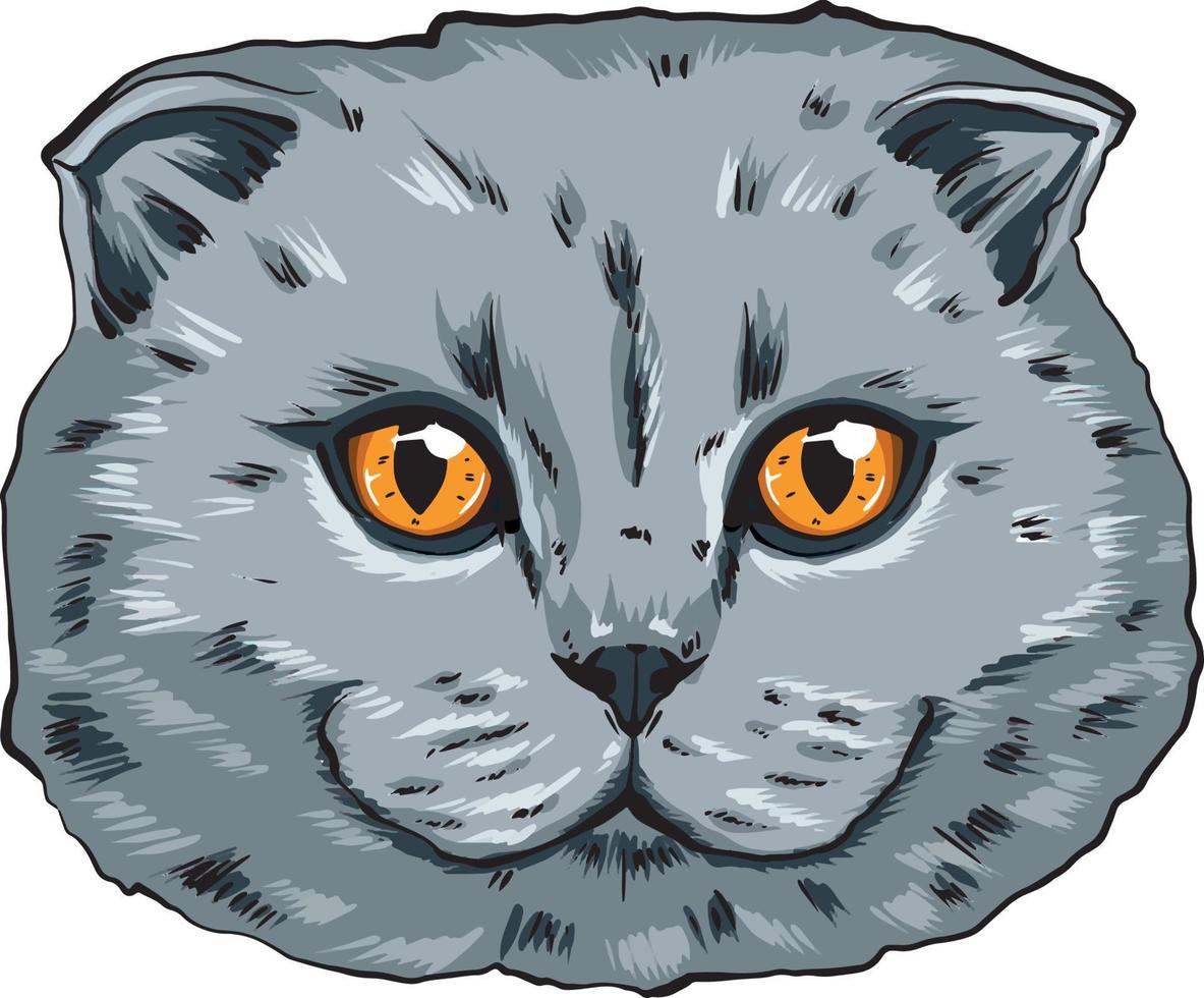 colorful portrait of a cat muzzle. Britain cat portrait beautiful eyes vector