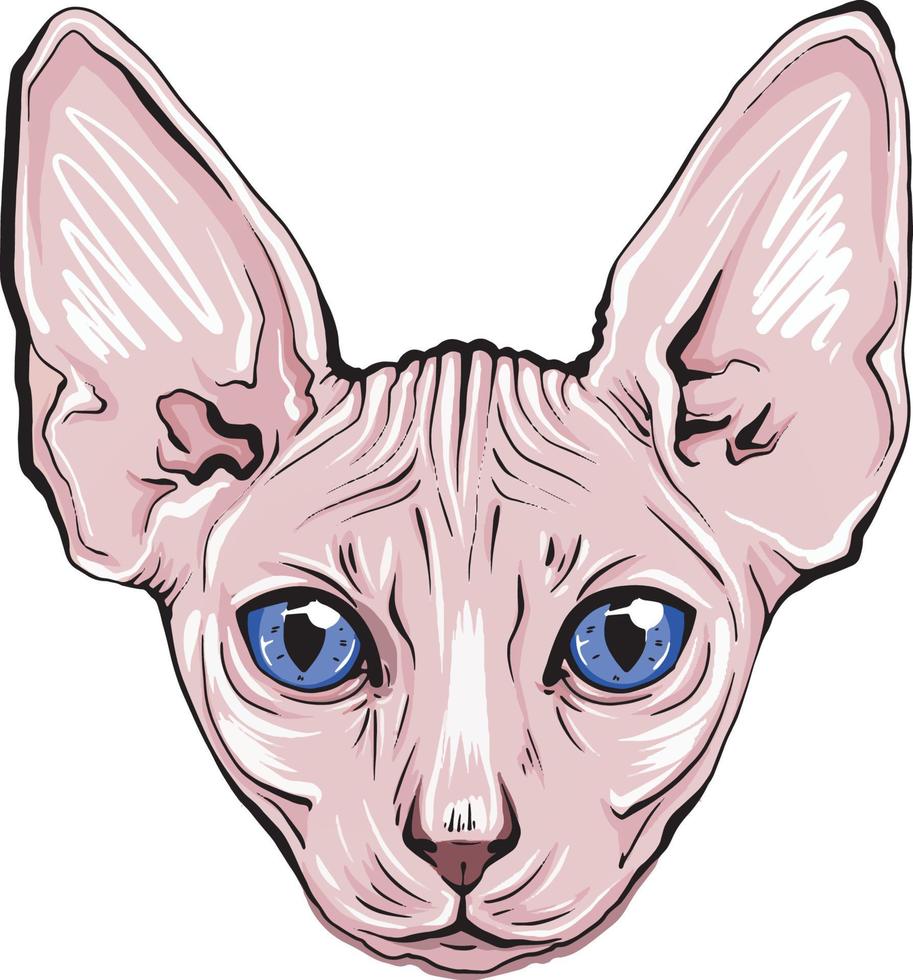colorful portrait of a cat muzzle. Sphinx cat portrait beautiful eyes vector