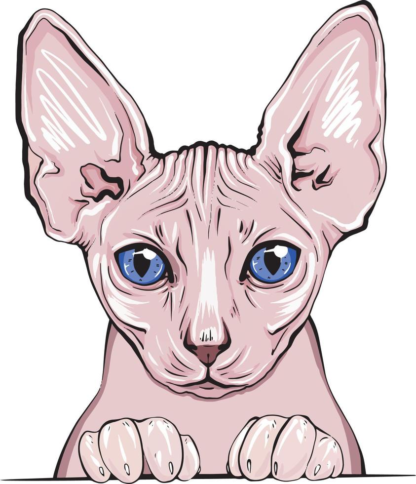 Sphinx cat. Hand-drawn feline fluffy portrait of a cat. vector