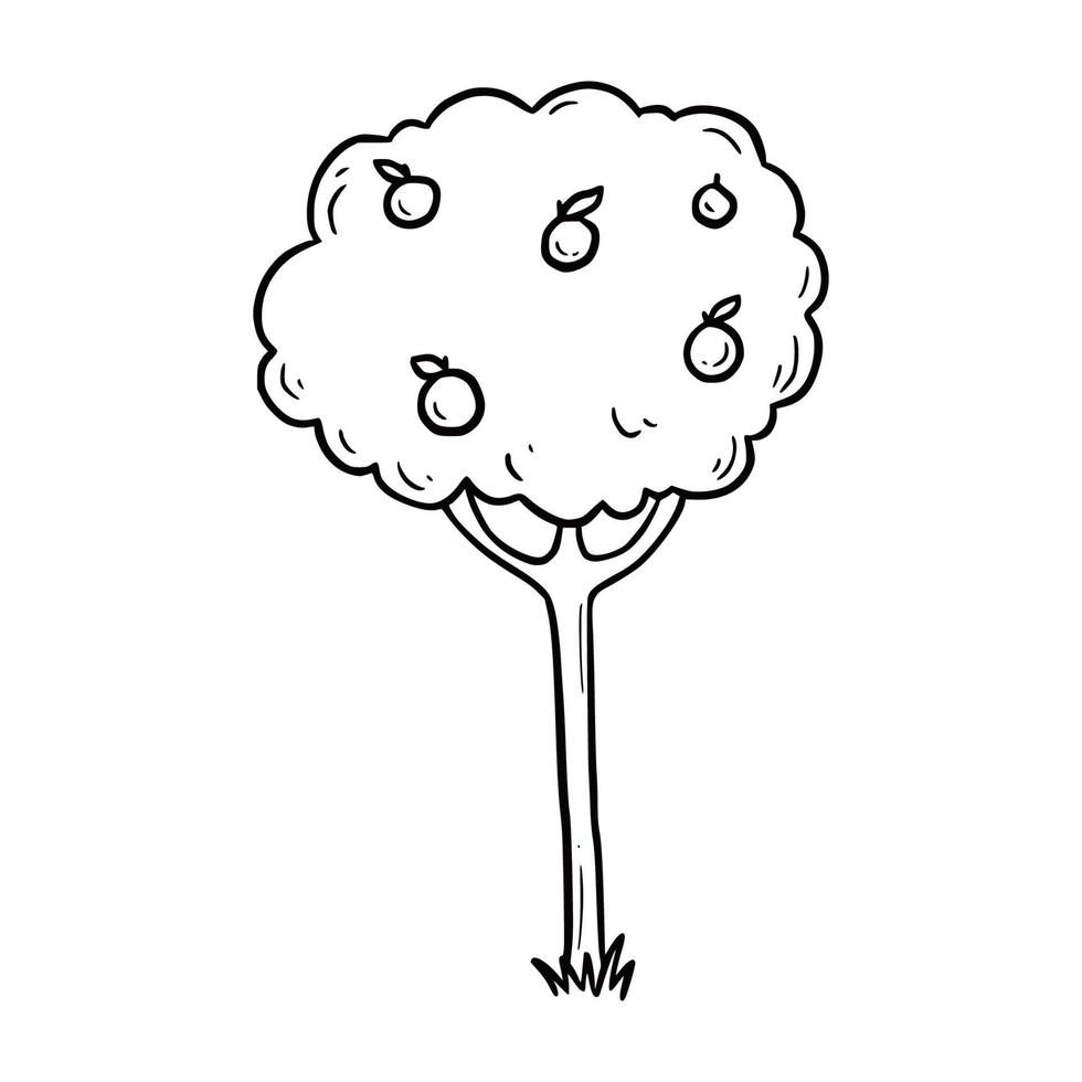 Hand drawn fruit tree. Doodle vector