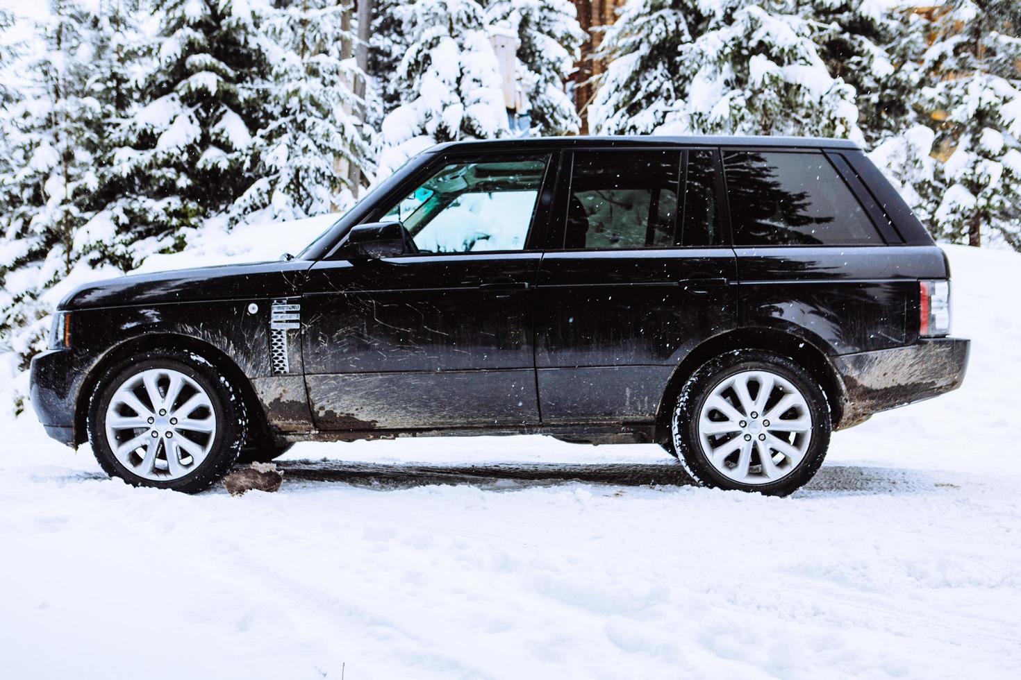 Suv car in snowed forest photo