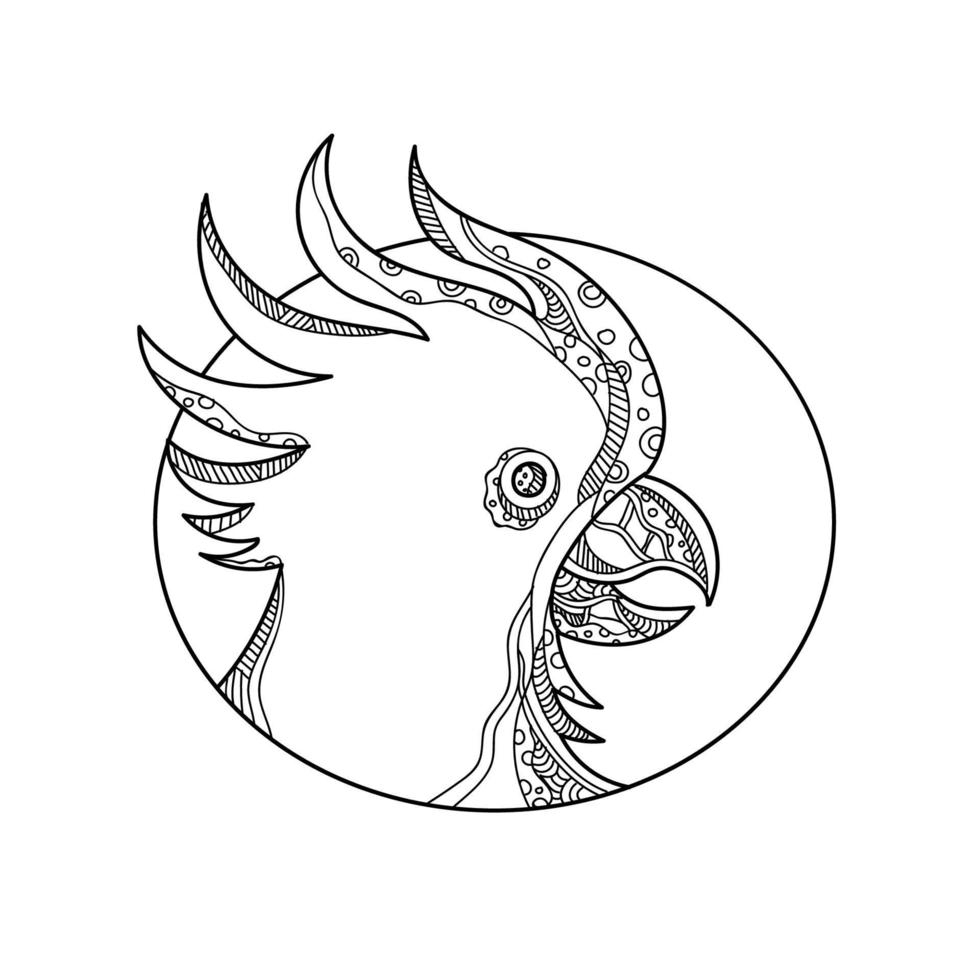 Cockatoo Head Circle Doodle Art vector