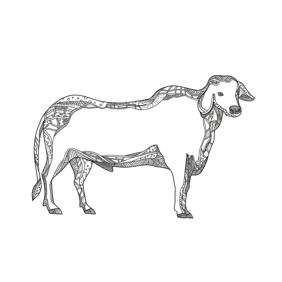 Brahman bull side doodle art vector