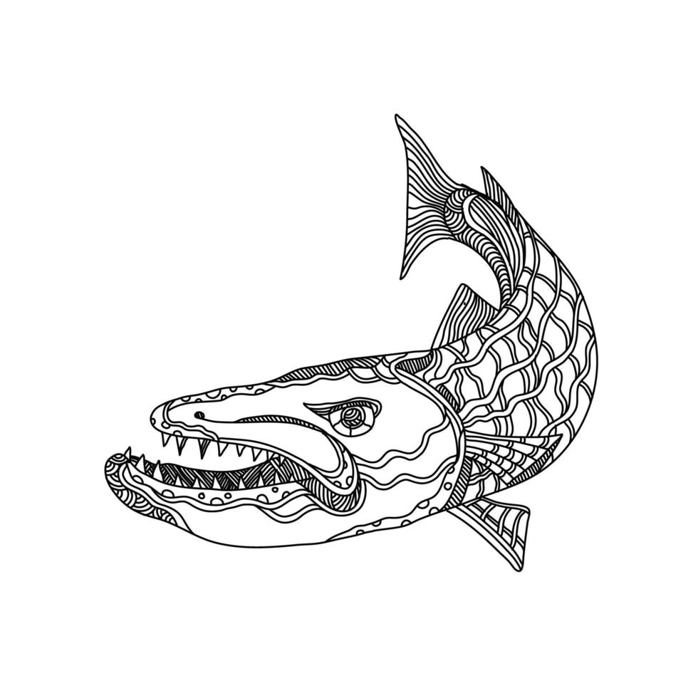 arte de doodle de pez barracuda vector