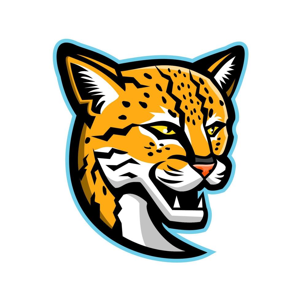 Margay cat head front mascot vector