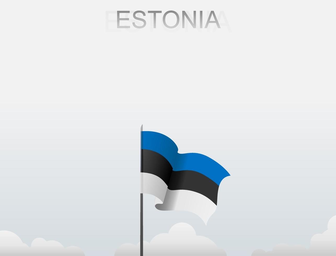 La bandera de Estonia ondea en un poste alto bajo el cielo blanco. vector