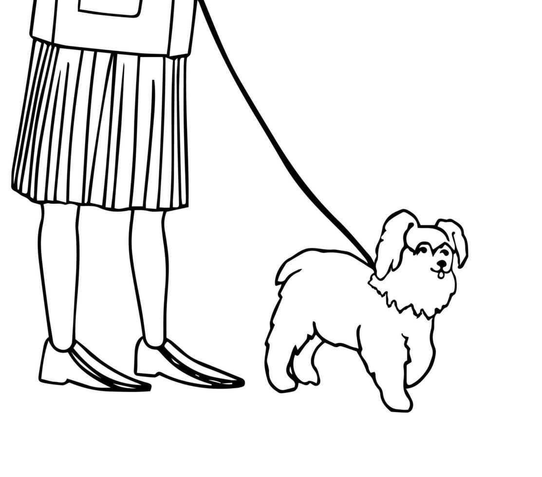 Vector black and white outline illustration of small dog walk on a leash