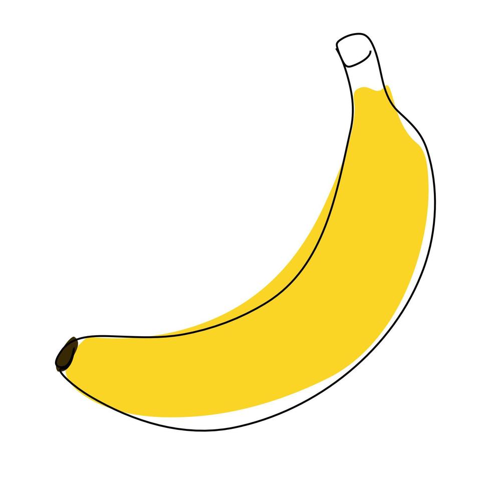 banana continuous line drawing vector illustration