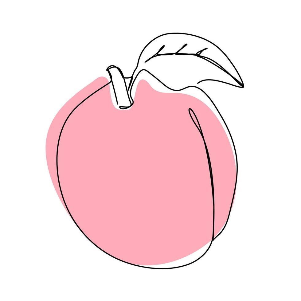 icono de melocotón en estilo de arte de línea, fruta jugosa aislada sobre fondo blanco con trazo editable. vector