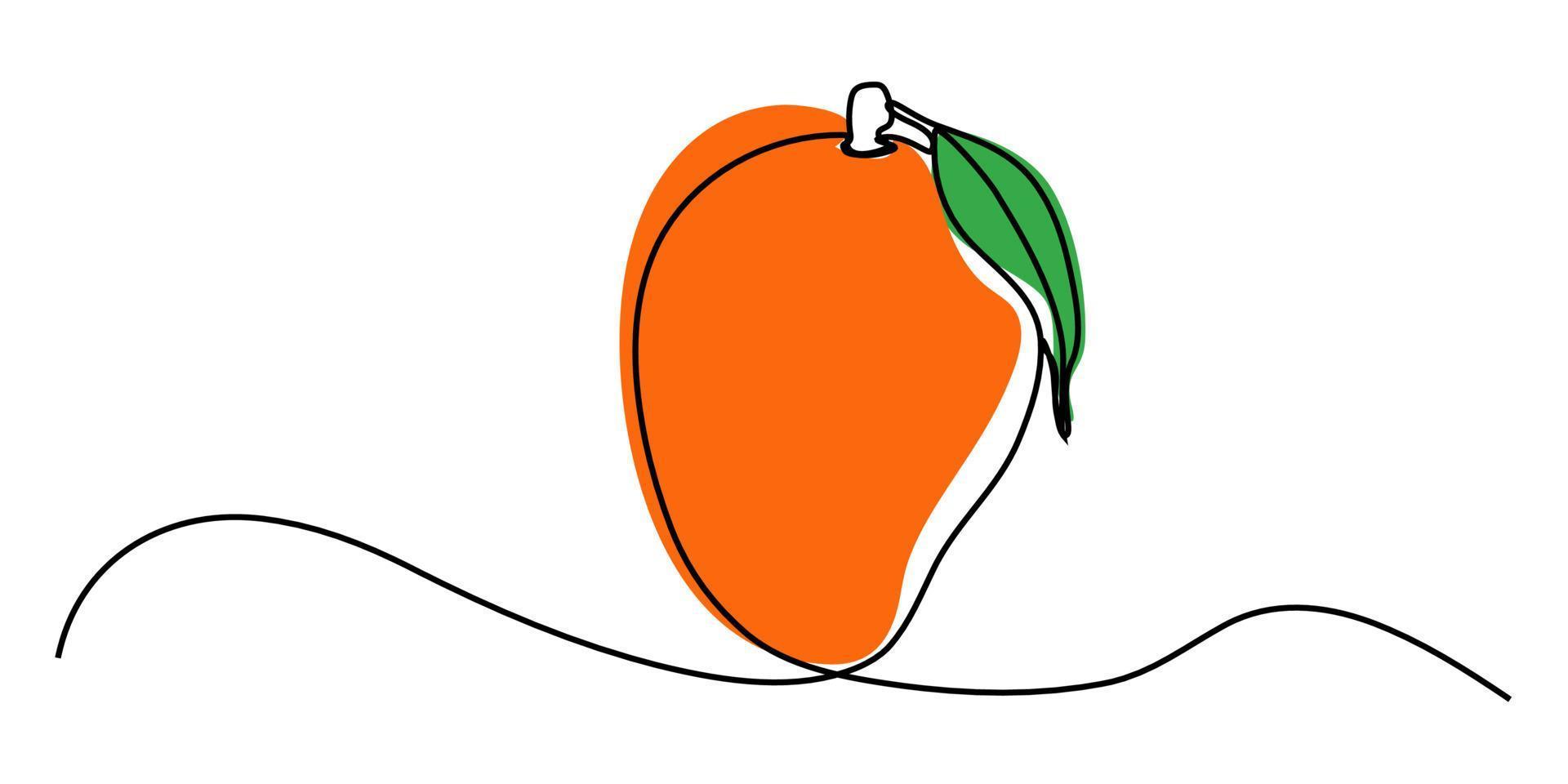 Mango vector illustration. One line drawing art color illustration with lettering organic mango.