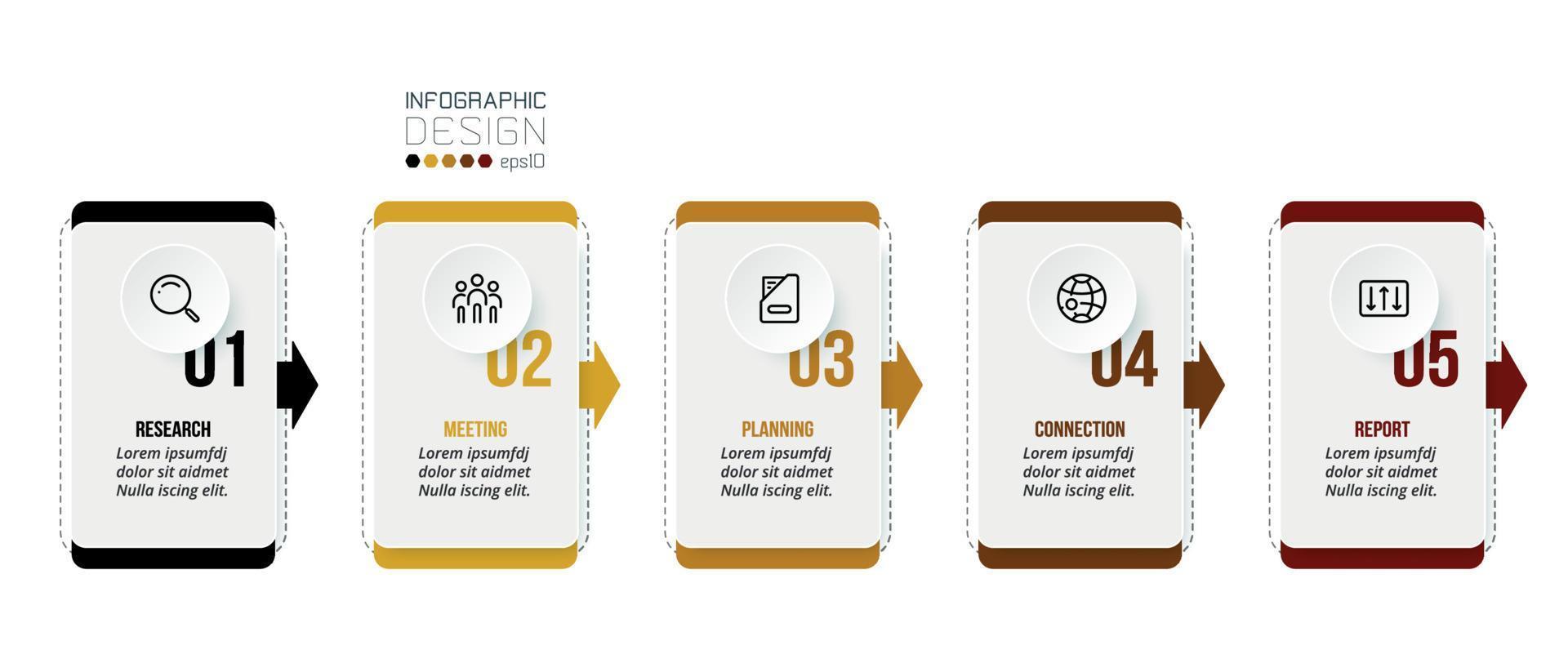 Business infographic  template with step or option design. vector
