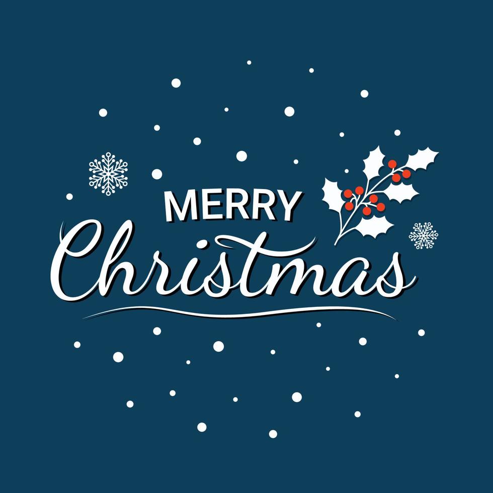 Merry Christmas Text with Snowflakes, Holly Leaves vector