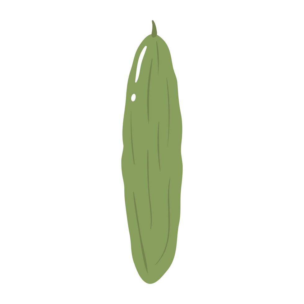 Cucumber colorful vector illustration isolated on white background. Hand drawn style, cute doodle art. Agricultural concept. Vegetables for gardening. Healthy diet