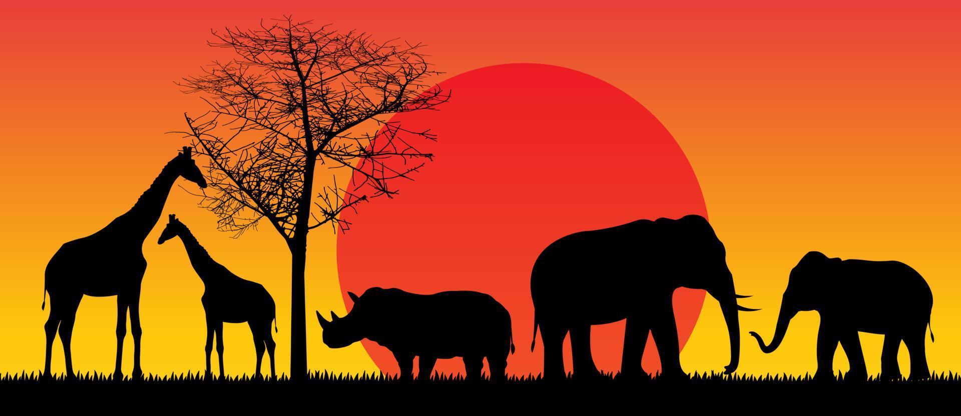 safari, fauna, áfrica, ocaso, animales, aislado, vector