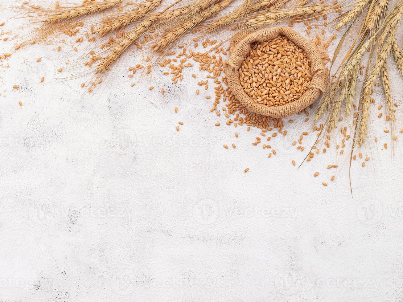 Wheat ears and wheat grains set up on white concrete background. photo