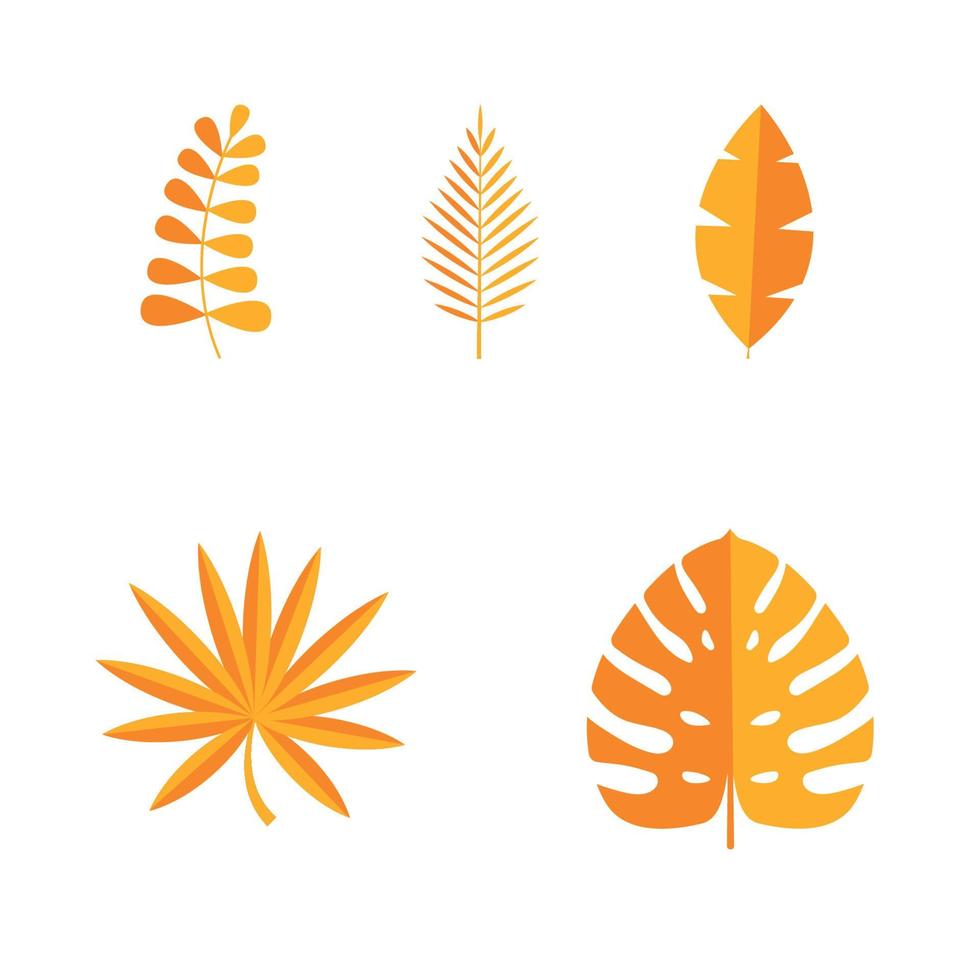 Set of Summer tropical leaves isolated on white background. Vector illustration