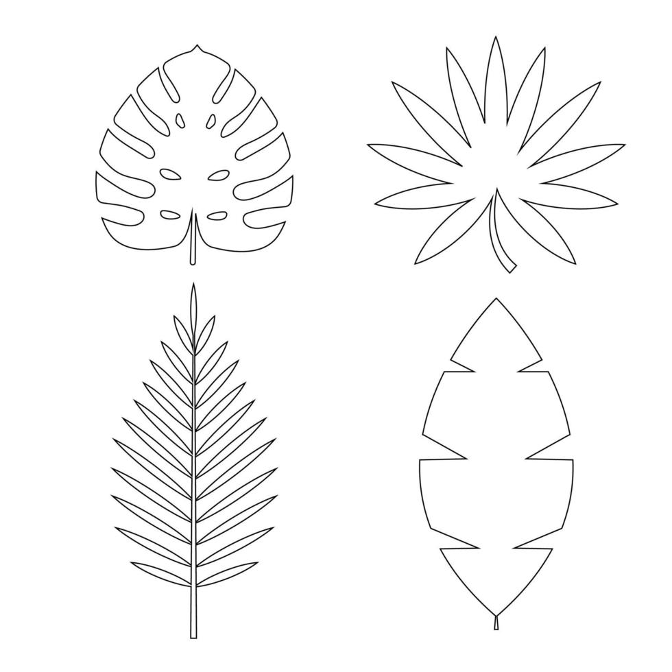 Tropical Palm, Monstera Leaves Icon Isolated on White Background. Natural Design Element set. Vector Illustration EPS10