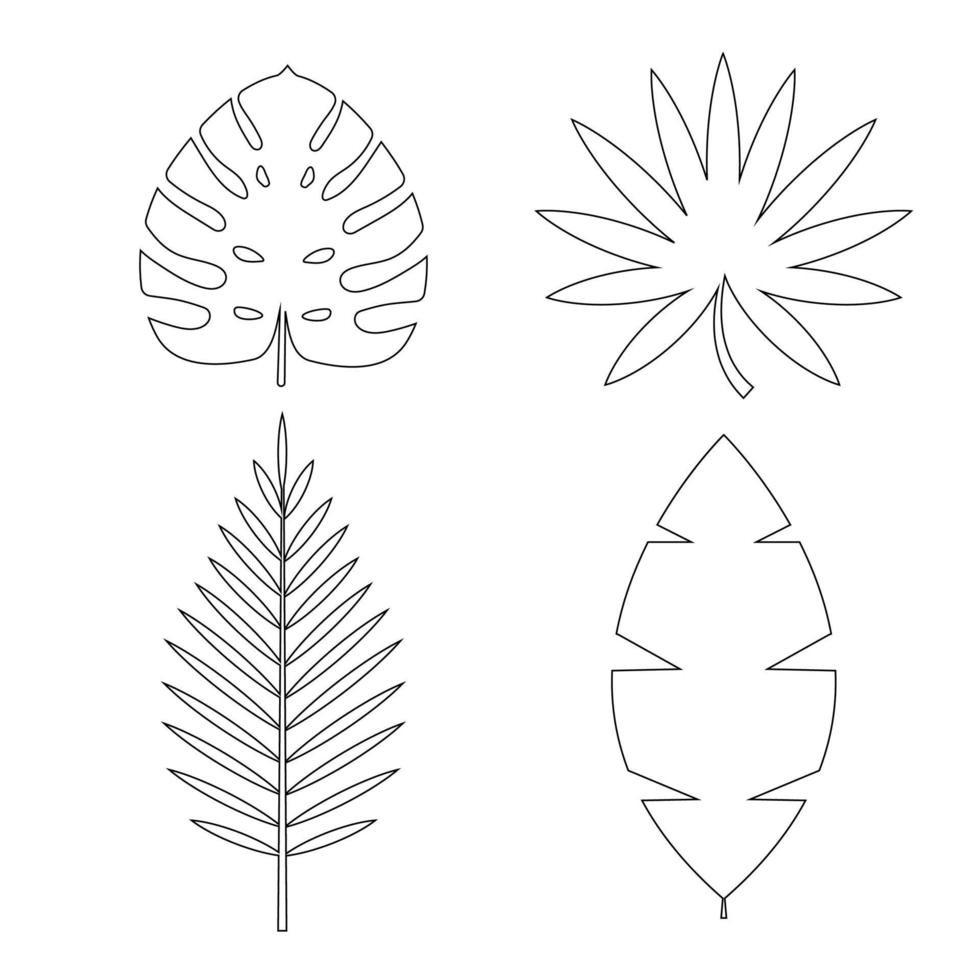 Palma tropical, icono de hojas de monstera aislado sobre fondo blanco. conjunto de elementos de diseño natural. ilustración vectorial eps10 vector