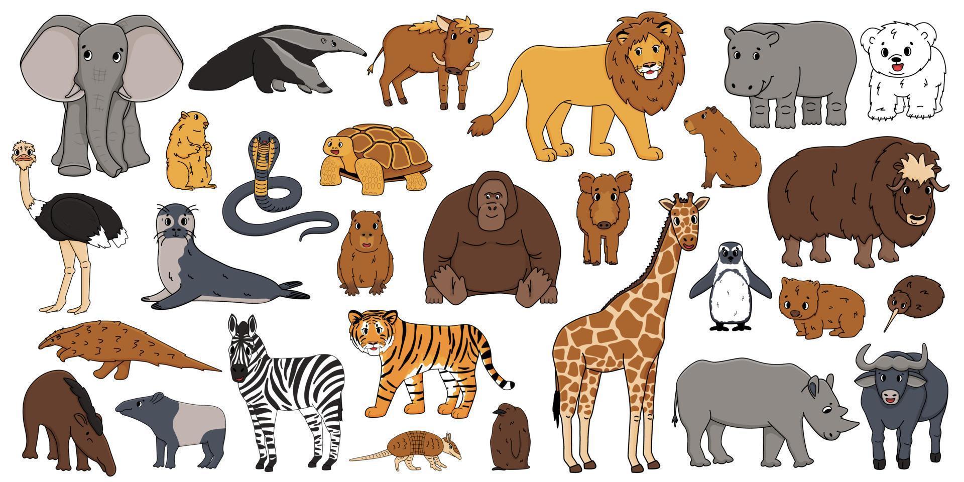 Cute vector isolated animals big set. Elephant, orangutan, monkey, lion, tiger, giraffe, hippo, rhinoceros, tapir, zebra, bear, wombat, snake, penguin, ostrich, wild boar, seal, armadillo, anteater