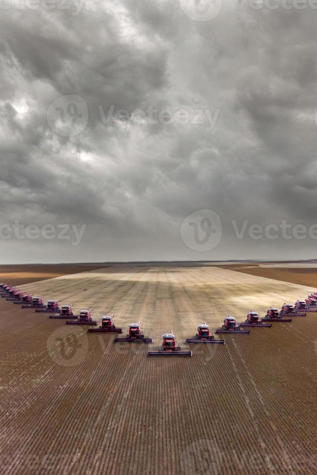 Mass soybean harvesting at a farm in Mato Grosso state, Brazil photo