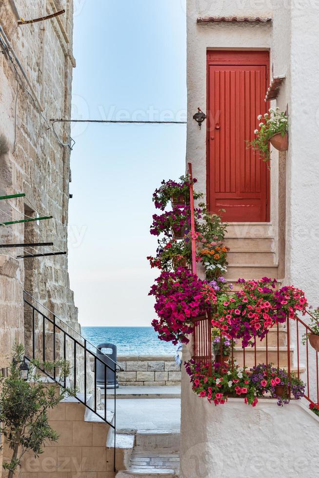 monopoli, el puerto y el centro histórico foto