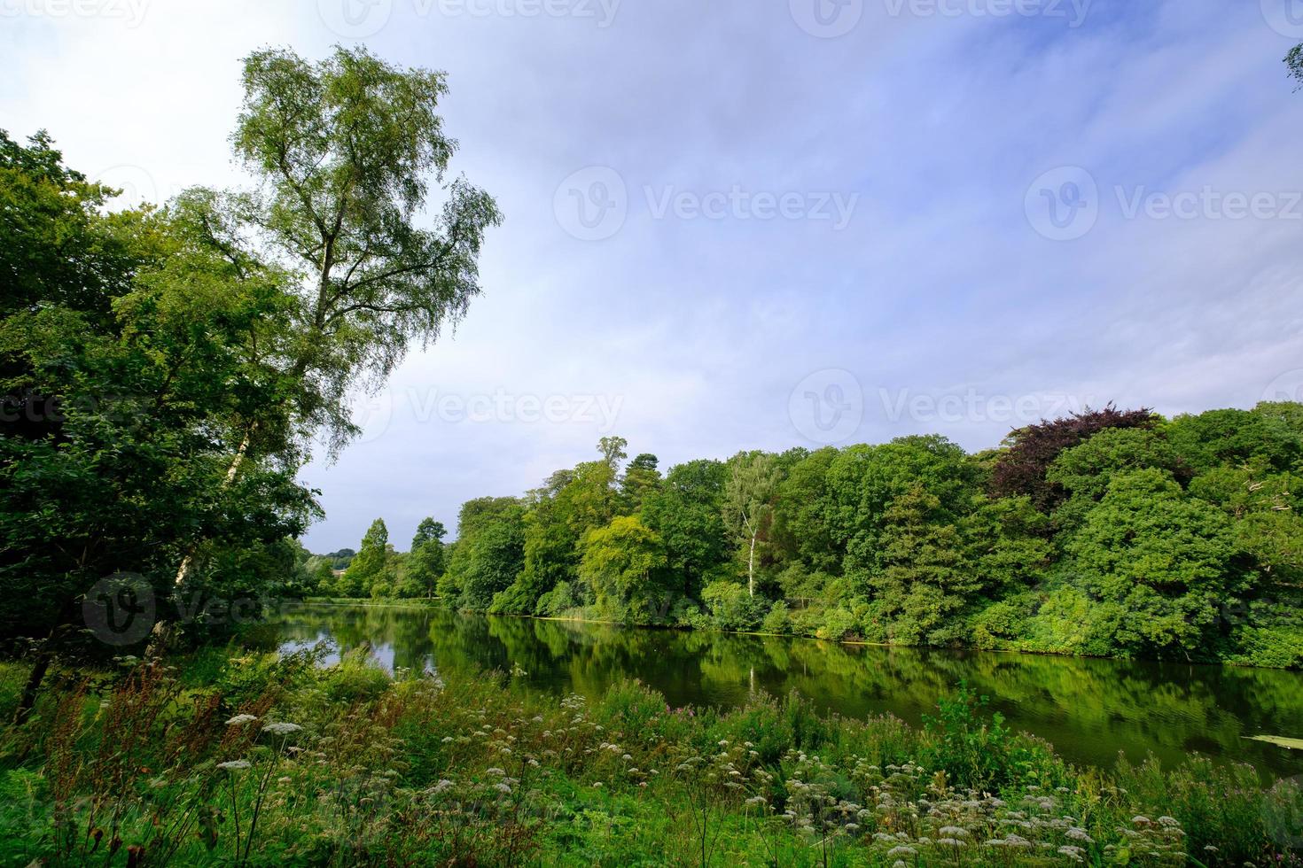 Hermoso paisaje de follaje de árboles y el estanque de peces en el área de Harewood House Trust en West Yorkshire en el Reino Unido foto