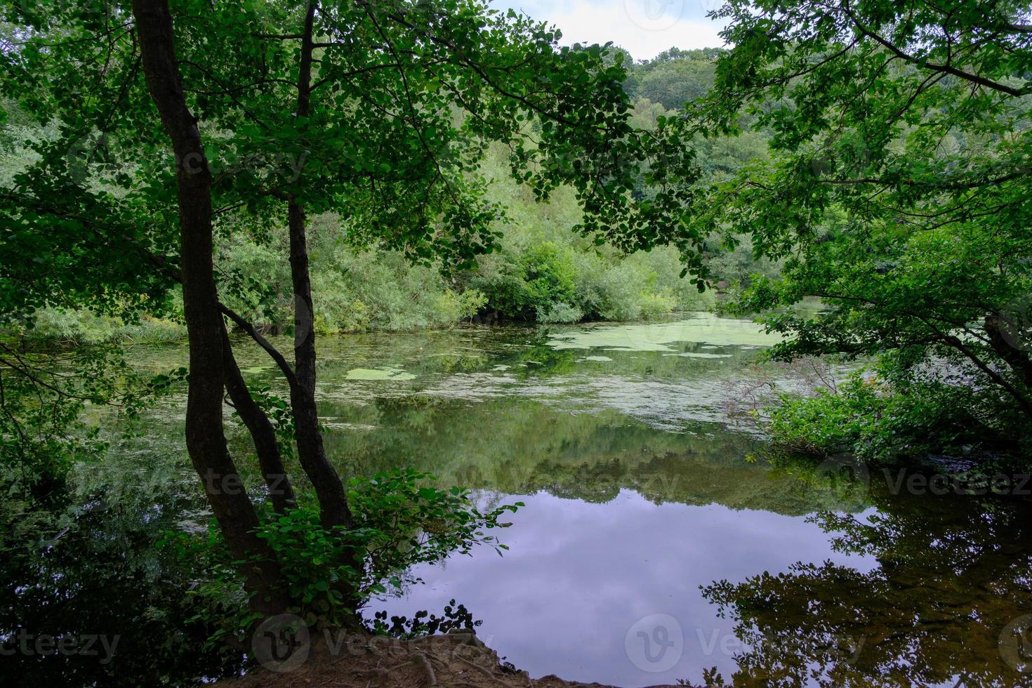 Beuatiful landscape of trees, lush foliage and their reflection  in the waters of Waterloo Lake in Roundhay Park, Leeds, UK photo