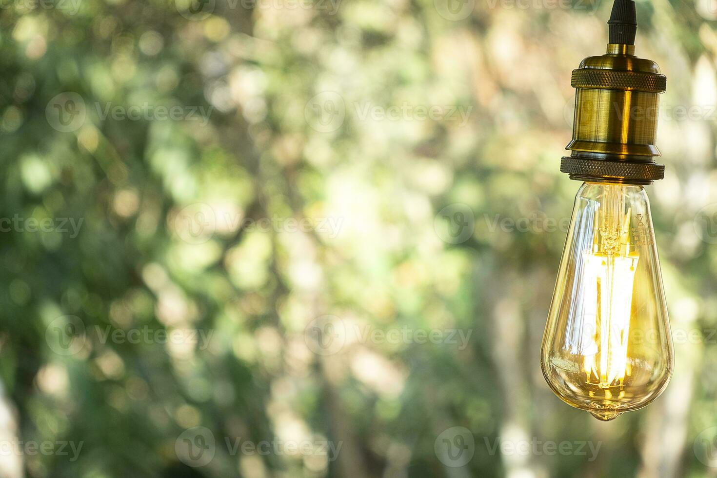 classic retro incandescent led electric lamp warm white on blur background, Vintage light bulb photo